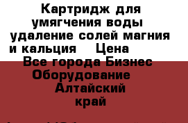 Картридж для умягчения воды, удаление солей магния и кальция. › Цена ­ 1 200 - Все города Бизнес » Оборудование   . Алтайский край